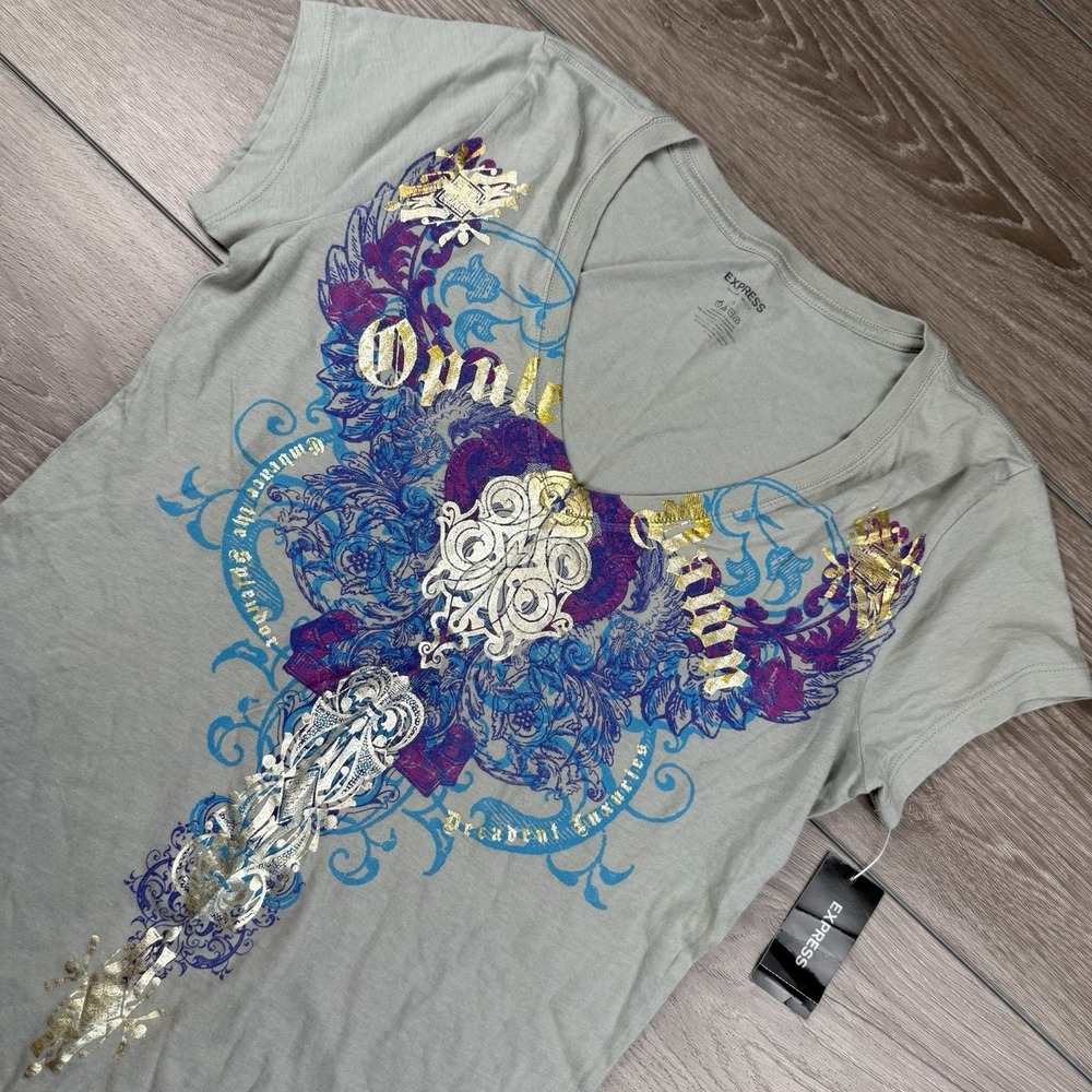 Express Women's Short Sleeve Graphic Print Wings V Neck‎ T Shirt Grey Large New